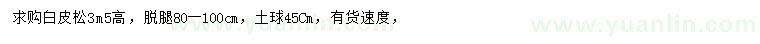 求購高3.5米白皮松