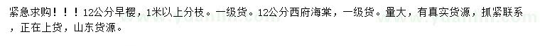 求購12公分早櫻、西府海棠