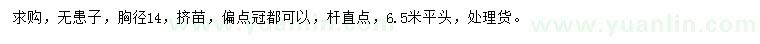 求購胸徑14公分無患子