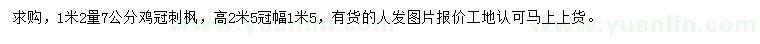 求購(gòu)胸徑7公分雞冠刺楓