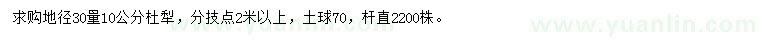 求購30量10公分杜梨