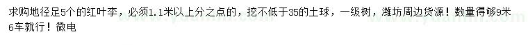 求購地徑5公分紅葉李