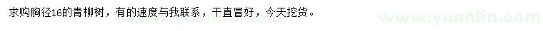 求購胸徑16公分青柳