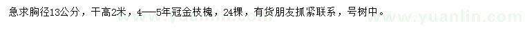 求購胸徑13公分枝槐