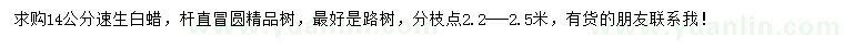 求購14公分速生白蠟