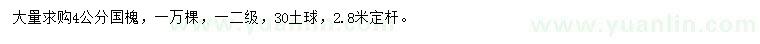 求購4公分國槐