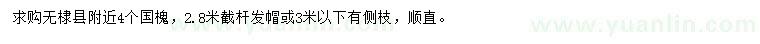 求購(gòu)4公分國(guó)槐