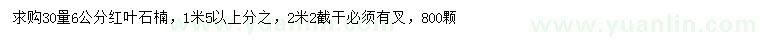 求購30量6公分紅葉石楠