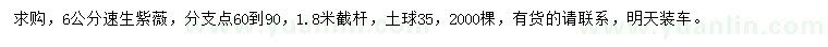 求購6公分速生紫薇