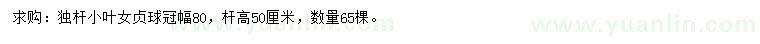 求購冠幅80公分小葉女貞球