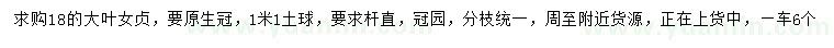 求購18公分大葉女貞