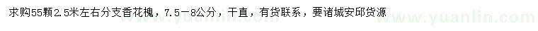 求購7.5-8公分香花槐