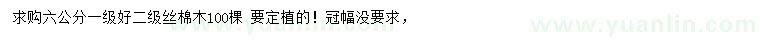 求購6公分絲棉木