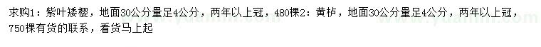 求購(gòu)30公分量4公分紫葉矮櫻