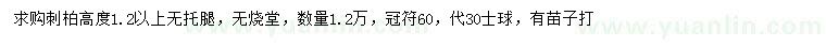 求購高1.2米以上刺柏