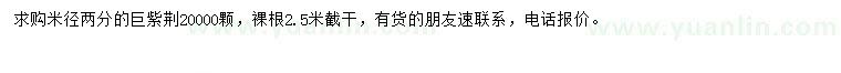 求購米徑2公分巨紫荊