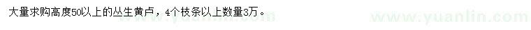 求購(gòu)高50公分以上叢生黃櫨