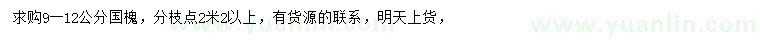 求購9-12公分國槐