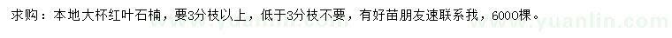 求購紅葉石楠