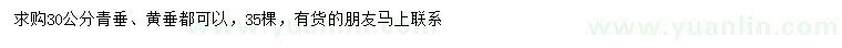 求購30公分青垂、黃垂
