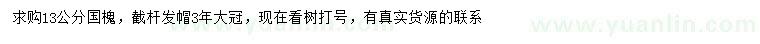 求購13公分國槐