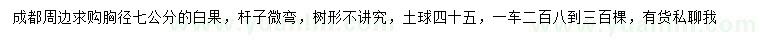 求購(gòu)胸徑7公分白果