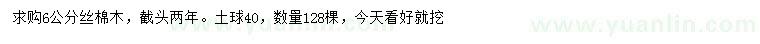 求購6公分絲棉木
