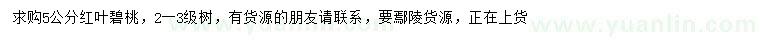 求購5公分紅葉碧桃