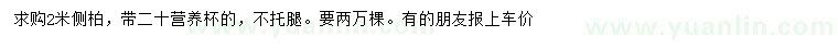 求購2米側(cè)柏