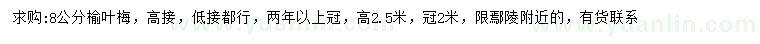 求購8公分榆葉梅