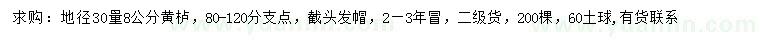 求購30量8公分黃櫨