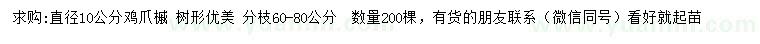 求購10公分雞爪槭