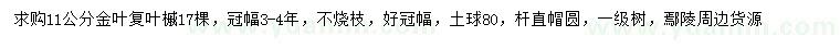 求購11公分金葉復(fù)葉槭
