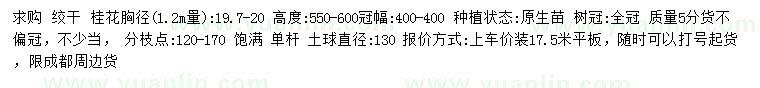 求購(gòu)1.2米量19.7-20公分桂花