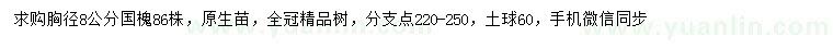 求購(gòu)胸徑8公分國(guó)槐