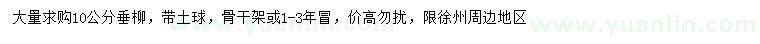 求購10公分垂柳
