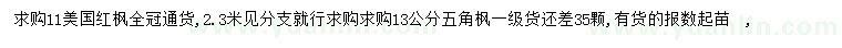 求購11公分美國紅楓、13公分五角楓