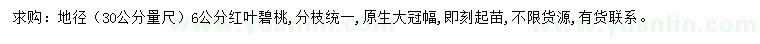 求購30量尺6公分紅葉碧桃
