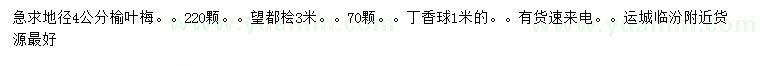 求購榆葉梅、望都檜、丁香球