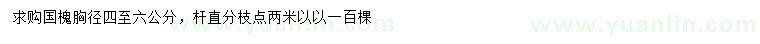 求購胸徑4-6公分國槐
