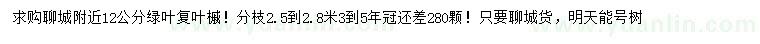 求購12公分綠葉復(fù)葉槭
