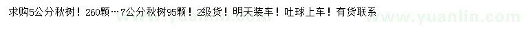 求購5、7公分楸樹