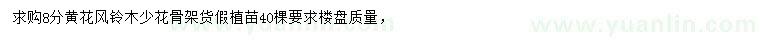 求購8公分黃花風(fēng)鈴木
