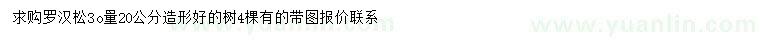 求購30量20公分羅漢松