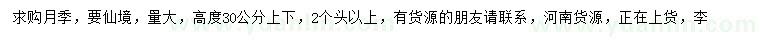 求購高30公分左右仙境月季