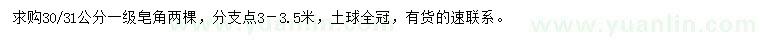 求購(gòu)30、31公分皂角
