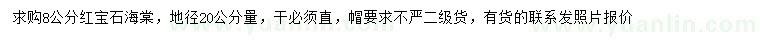求購20公分量8公分紅寶石海棠