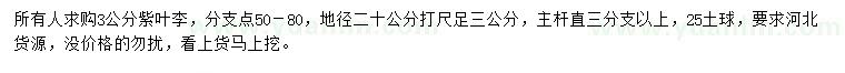 求購20量3公分紫葉李
