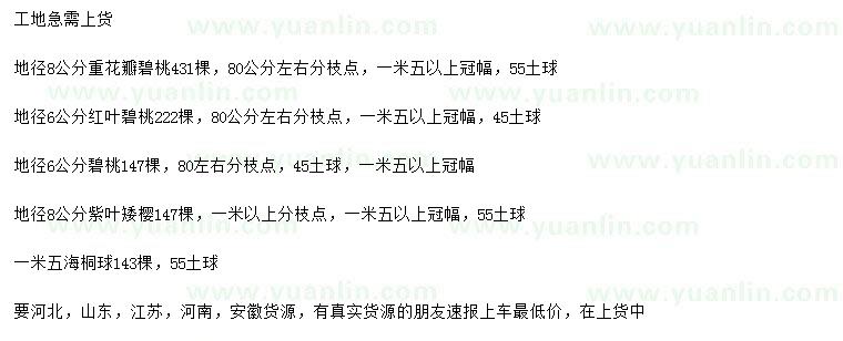 求購(gòu)重花瓣碧桃、紅葉碧桃、碧桃等