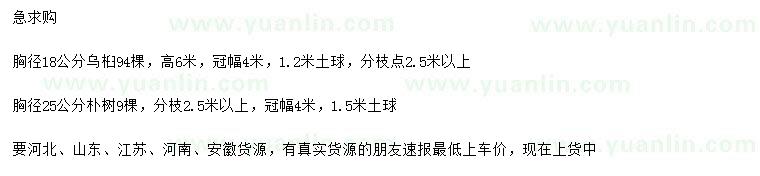 求購(gòu)胸徑18公分烏桕、胸徑25公分樸樹(shù)
